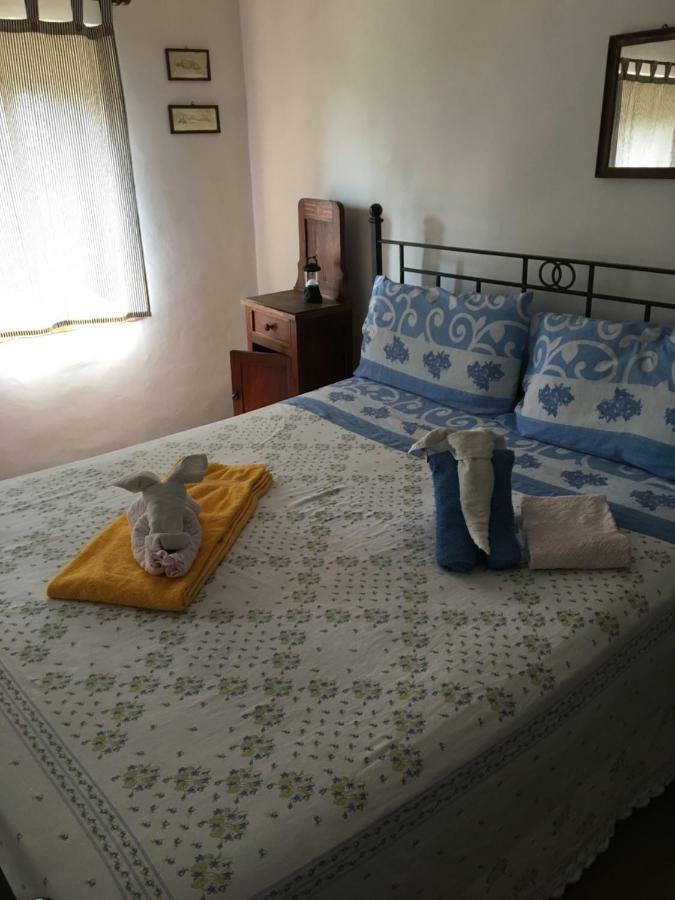 Вілла Casina Della Burraia Subbiano Екстер'єр фото